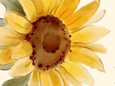 Barbara's Birthday Fundraiser for Totara Hospice