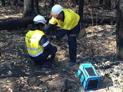 Animal Evac New Zealand Trust