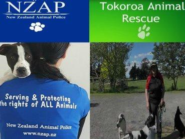 NZAP New Zealand Animal-Police 