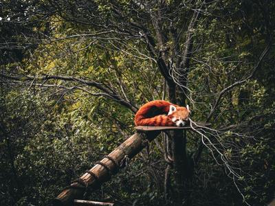 IMAgEN8 2024 fundraiser