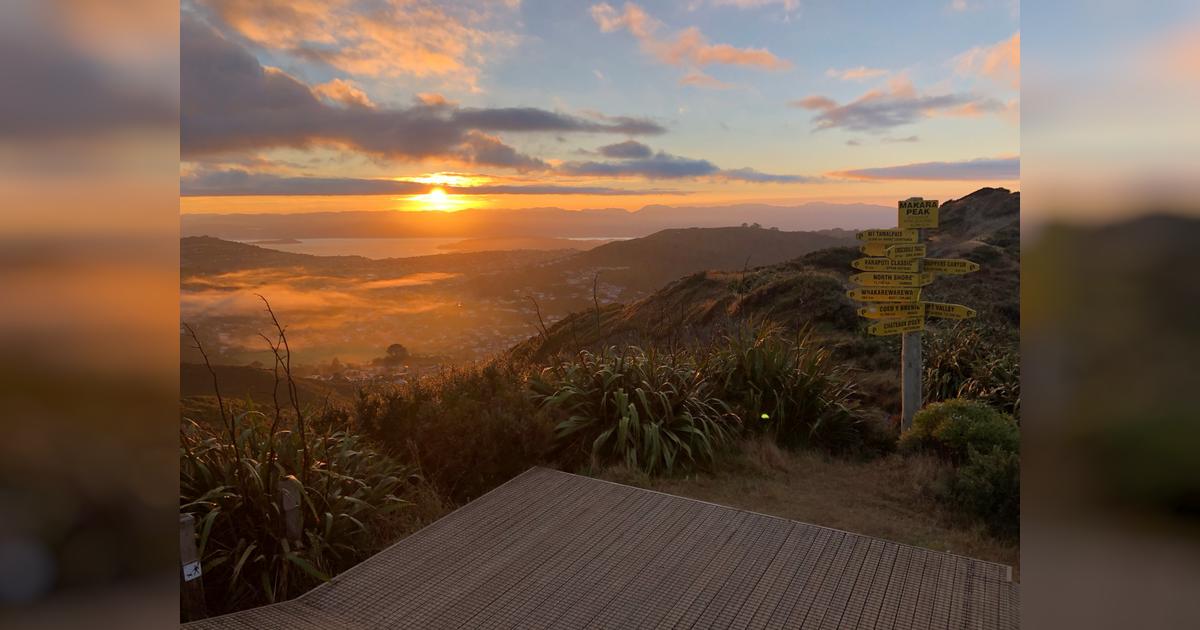 Karori mountain discount bike park