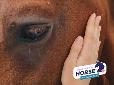 Here for the Horse Winter Appeal | 1-10 August 2024🐎