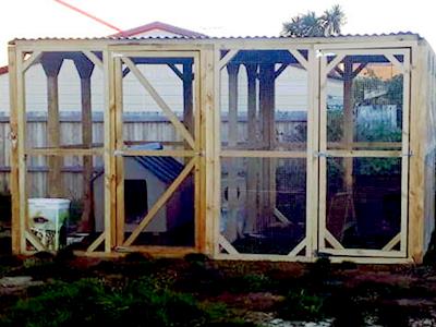 Help Us Build Another Barn Cat Run! 