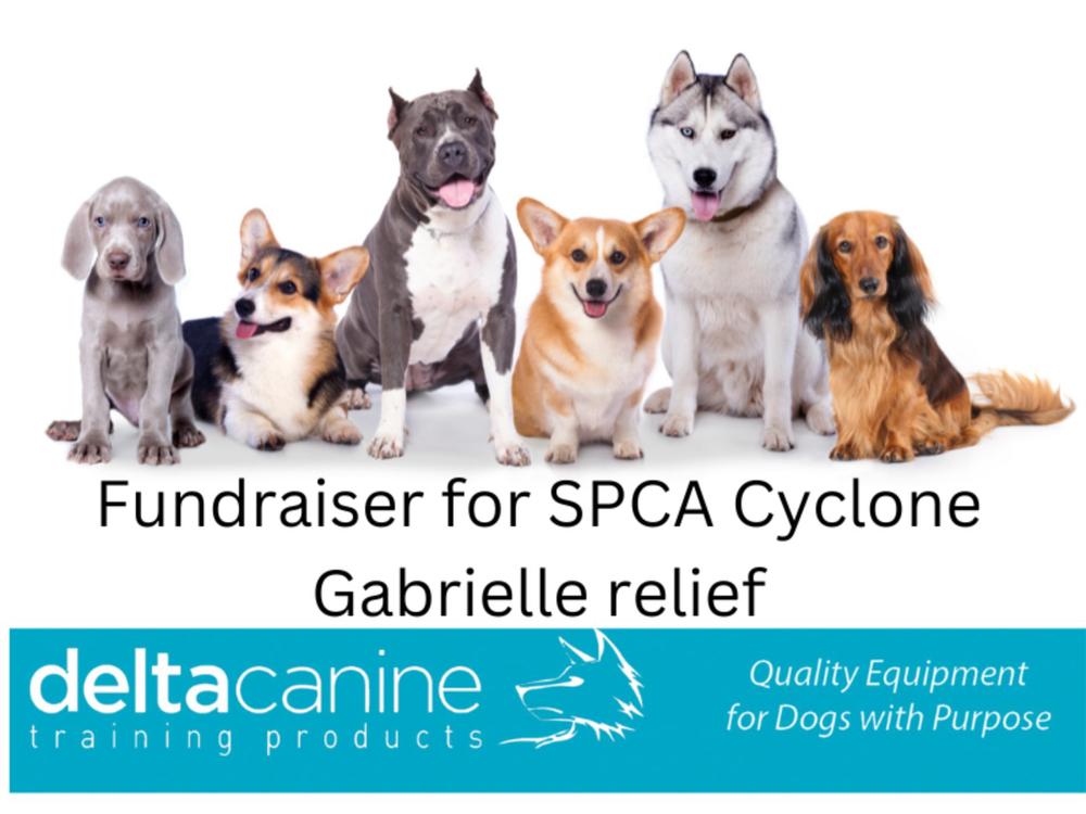 Donations to hot sale spca