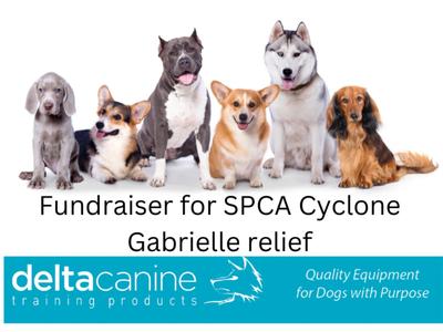 Donate to SPCA Cyclone Gabrielle disaster relief fund