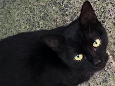 Nunu needs his leg amputating 🥺