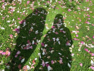 Stressed Not Depressed