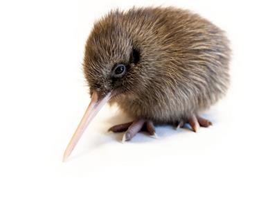 Walking 3000km to raise funds