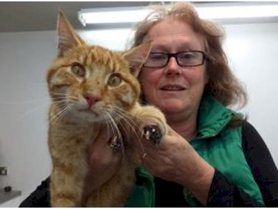 Fundraiser for Bobby Ginge's Leg Amputation