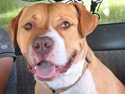 URGENT FUNDS FOR RJ’s REWARD