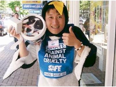 SAFE 2010 Annual Appeal for Animals