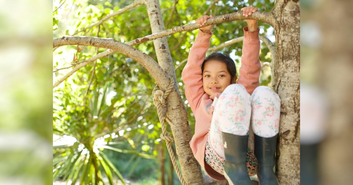 Fossil Bay School & Kindergarten Givealittle