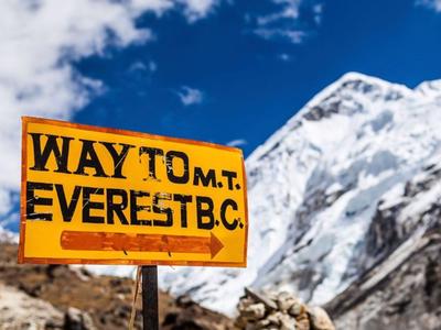 The Waters Team - Mauao Mission