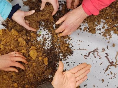 The Soil & Health Association of New Zealand Inc