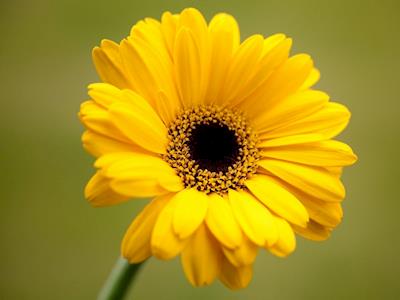 Wairarapa Care Network fundraising for Hospice