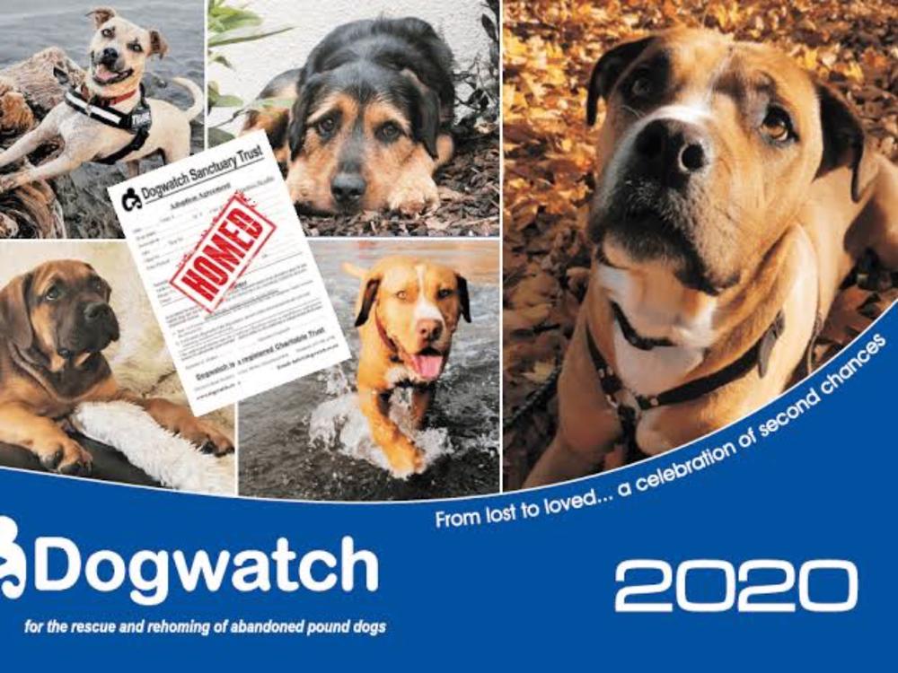 Dogwatch sanctuary hot sale