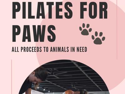 Pilates for Paws