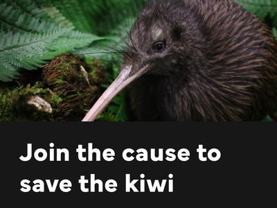 Help Will Save the Kiwi (bird not fruit)