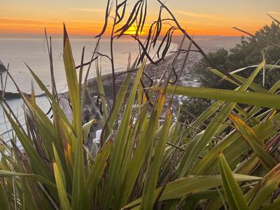 Nga Parirau o Te Akau