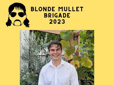 Multi-coloured mullet for mental health