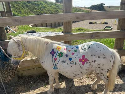 HOPE RISING FARM -Seeds of Change - Plant Courage and Grow Hope