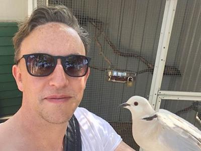 Raising money for shorebirds