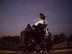 The Movement Collaborative - Supporting the search for a cure for Spinal Cord Injury's avatar