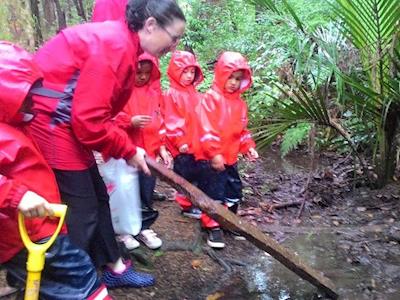 A Great South Auckland story on an international stage