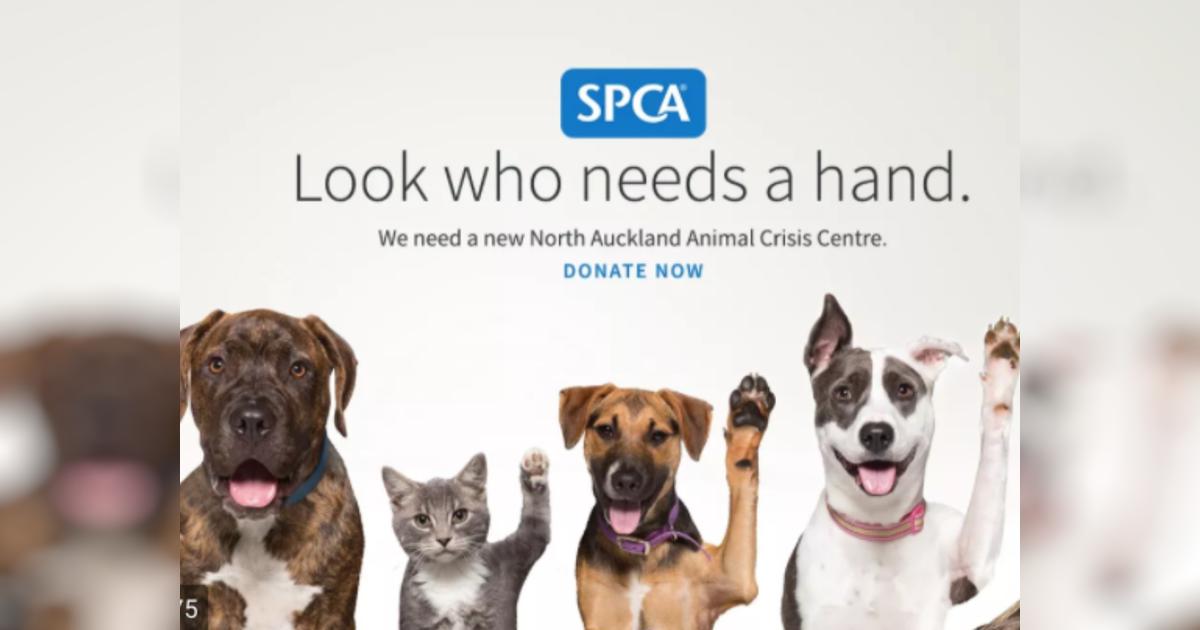 Fund - Raise For SPCA - Givealittle