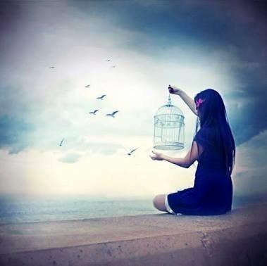 Go with the flow Manawatu