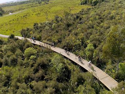 Kawatiri Coastal Trail