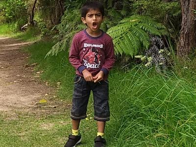 Kian's walk at the Tawharnui regional park