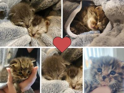 Help nourish our bottle babies 🥰