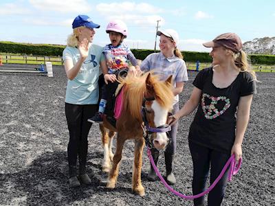 Please help - new therapy pony urgently needed!