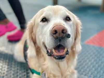 Stitches remain but that won’t stop me!