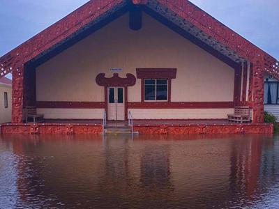 Final Restoration Stage - WE NEED YOUR HELP WHANAU!