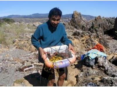 Roopu Kiwa-Kelly Sports