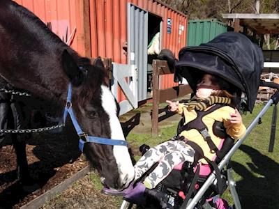 Funds needed for a therapy horse