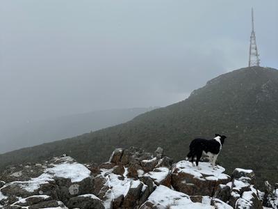 Freeze for them forever zzzs