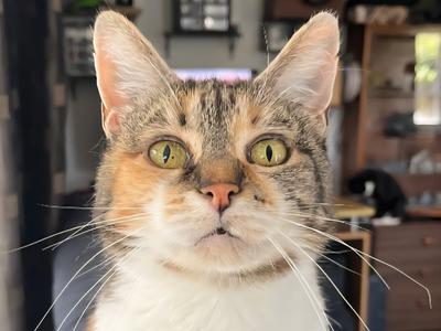 A Fresh Start Begins With A Healthy Smile