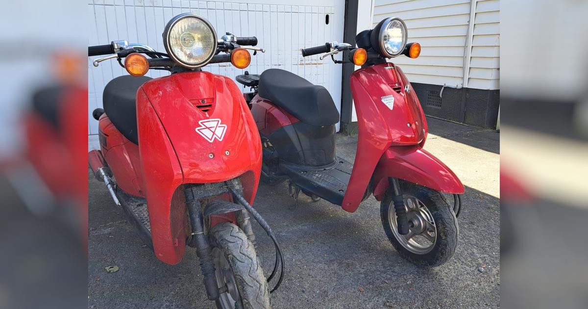 Smashing and Dashing to Wellington Givealittle