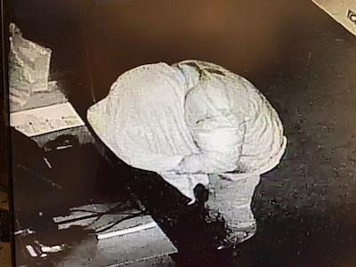 Help Penguins fight crime