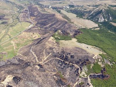 Rebuilding Nature Together