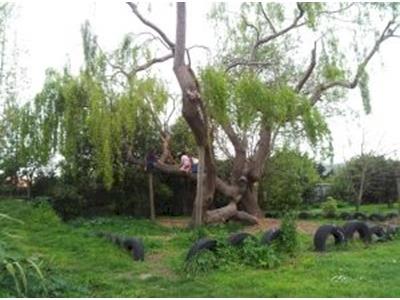 Tamariki School's Legal Challenge