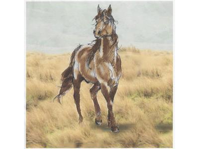 Fundraising for Kaimanawa Heritage Horses Welfare Society Inc - Statue Fundraiser