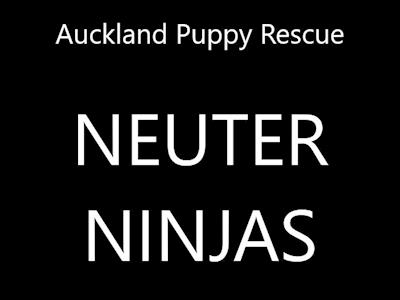 Neuter Ninjas - helping to desex your pets