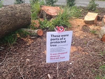 Tree Loss Mobile App