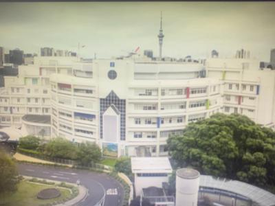 Help me raise money for Starship!