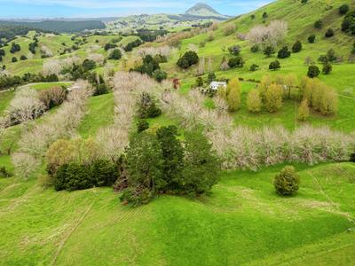 Krishna Village Project