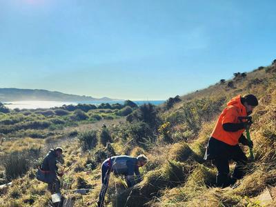 The Halo Project - Source to Sea